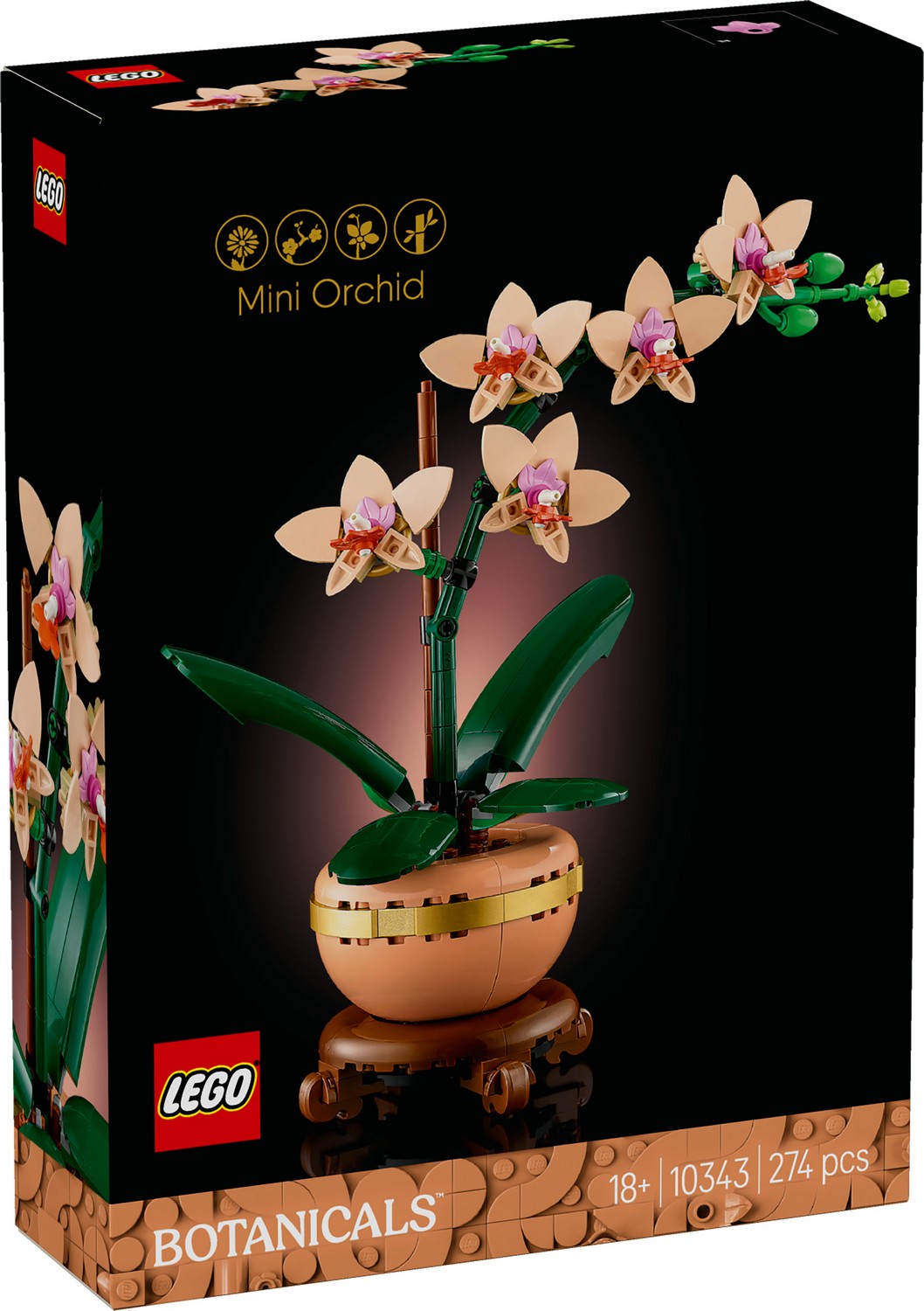 Mini Orchid