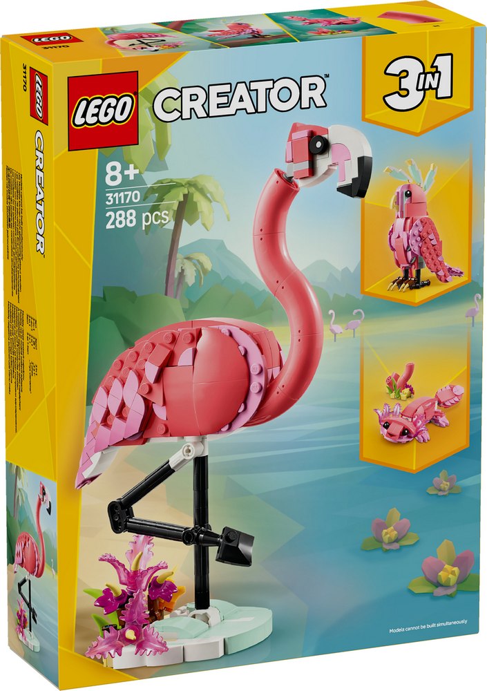 Wild Animals: Pink Flamingo