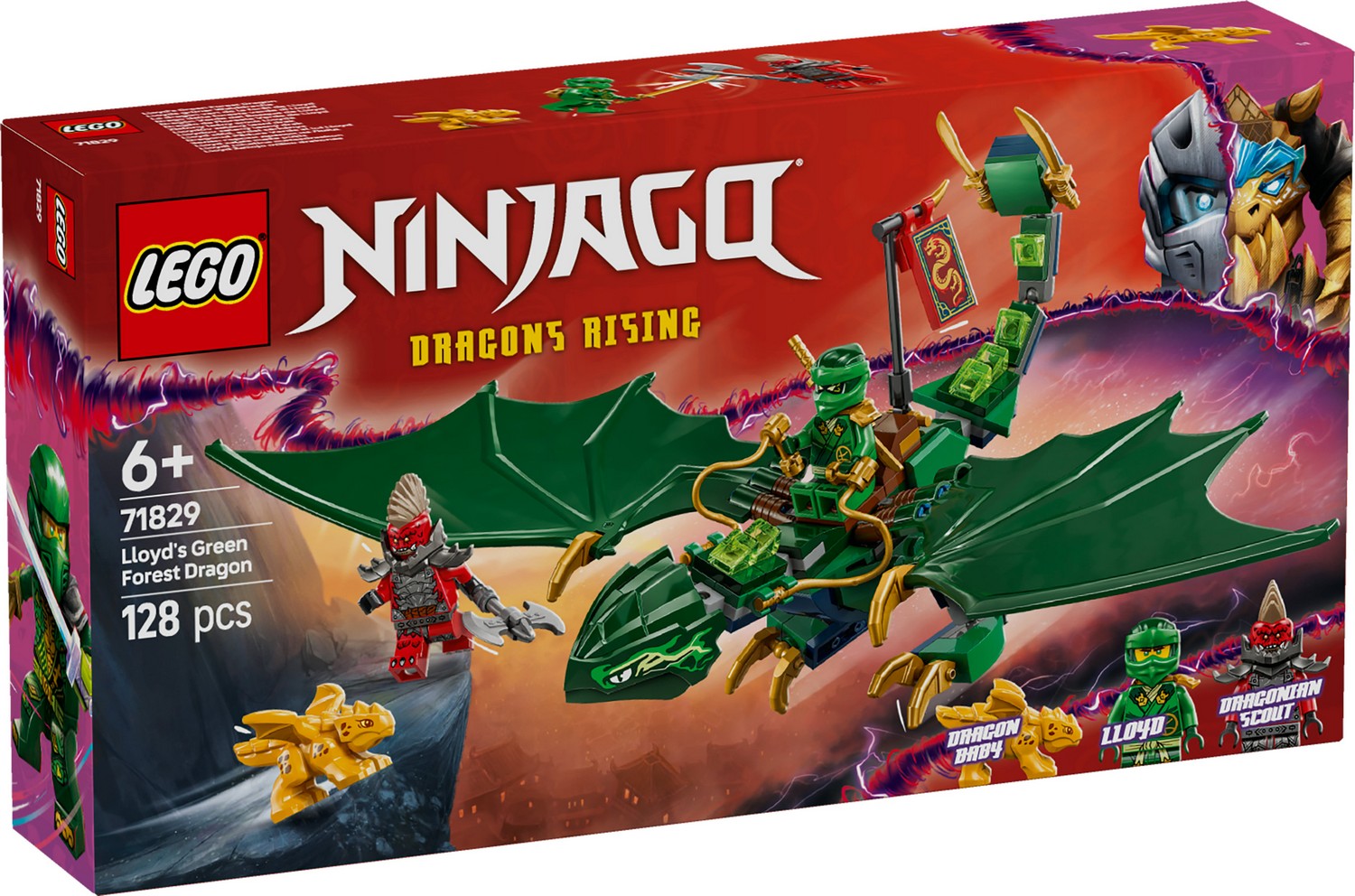 Lloyd's Green Forest Dragon