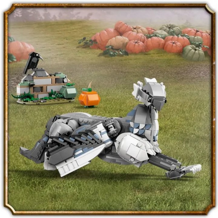 76427_5